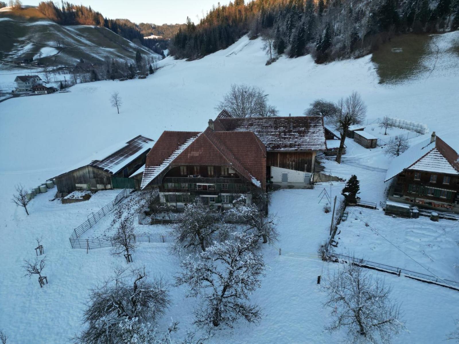 Emmental Ferien Apartment Langnau Exterior photo