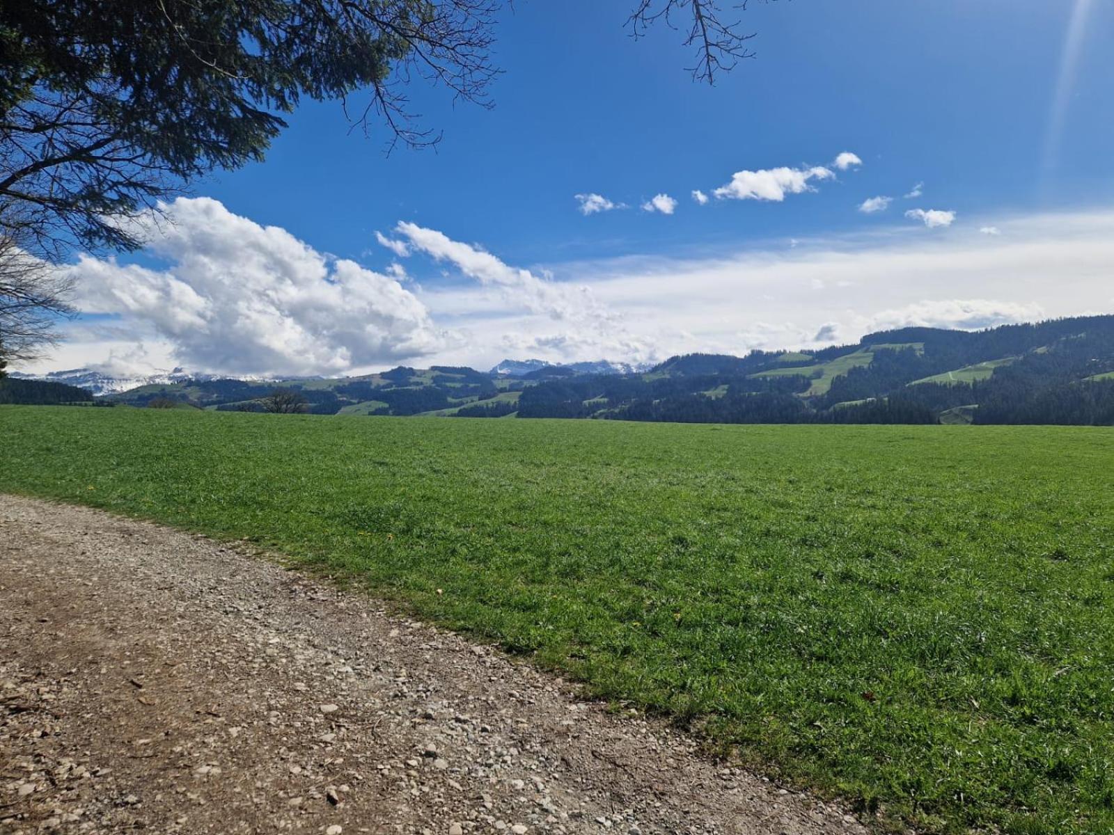 Emmental Ferien Apartment Langnau Exterior photo